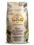 SEMILAVORATO CUOR DI CEREALI KG.1 CAPUTO (CT DA 10 PZ)