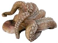 POLIPI RICCI T6 800/1200 ONDAMAR (CT=12KG)